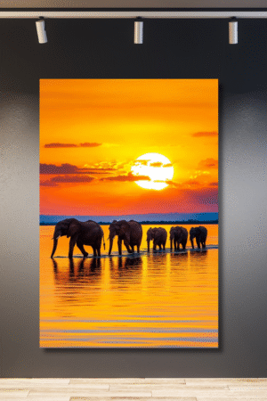 Elefantes en fila atardecer colorido