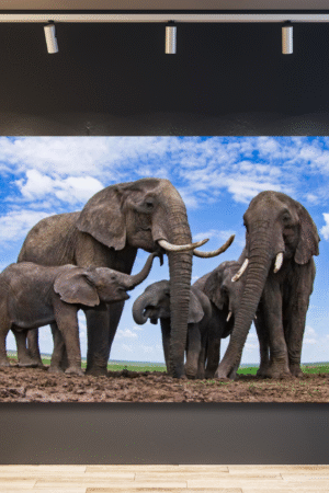 Familia de elefantes foto realismo