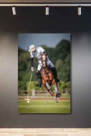 Fotografía jinete críquet