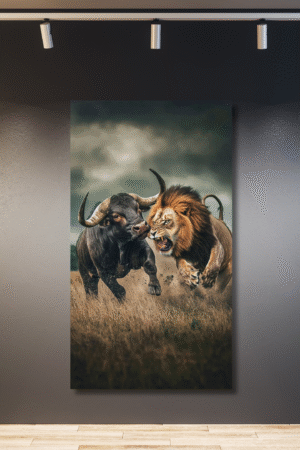 León cazando búfalo