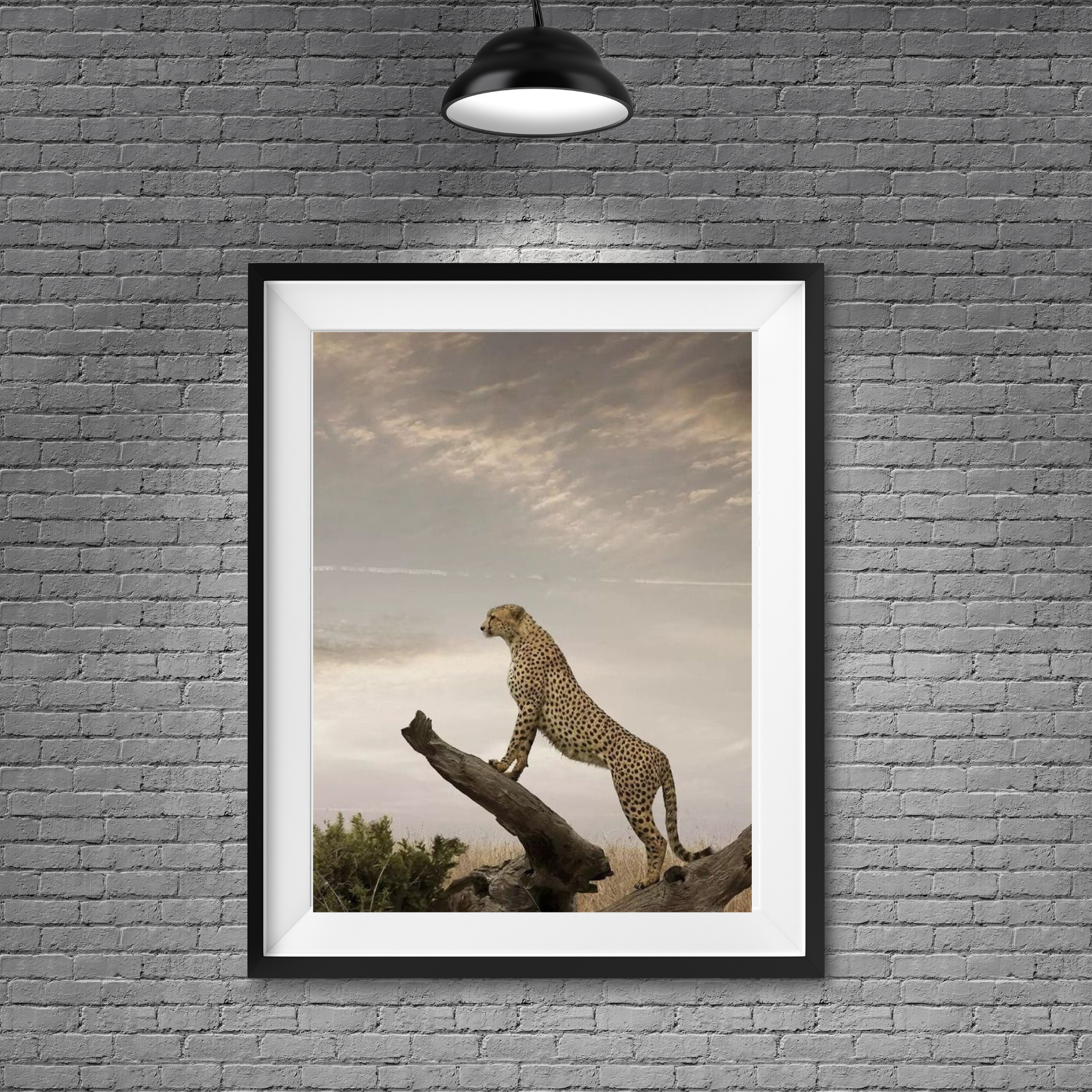 Puma en tronco - Image 2